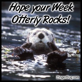 Click to get the codes for this image. This cute comment shows a funny sea otter with his paws sticking out of the water with both thumbs up. The comment reads: Hope your Week Otterly Rocks!