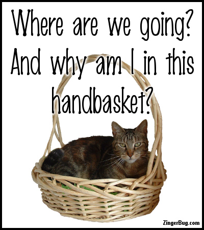 Click to get the codes for this image. Why Am I In This Handbasket Cat, Animals  Cats, Funny Stuff  Jokes, Quotes  Sayings Glitter Graphic, Comment, Meme, GIF or Greeting