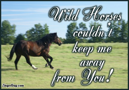 Click to get the codes for this image. Wild Horses Couldnt Keep Me Away From You Quote, Animals  Horses  Hooved Creatures, Love and Romance, Quotes  Sayings Glitter Graphic, Comment, Meme, GIF or Greeting