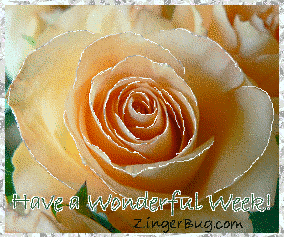 Click to get the codes for this image. This glitter graphic features a peach colored rose with glittered petals. The comment reads: Have a wonderful week!