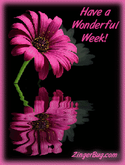 Click to get the codes for this image. This graphic features a pink flower reflected in an animated pool. The comment reads: Have a Wonderful Week!