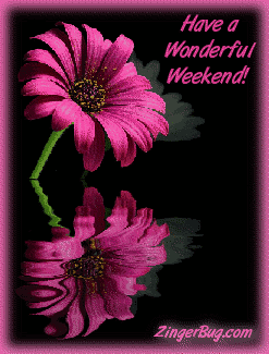 Click to get the codes for this image. This graphic features a pink flower reflected in an animated pool. The comment reads: Have a Wonderful Weekend!