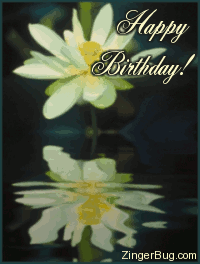Click to get the codes for this image. This comment shows a beautiful yellow flower with reflections in an animated pool. The comment reads: Happy Birthday!