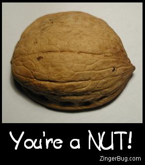 Click to get the codes for this image. This funny comment features a photo of a walnut with the comment: You're a NUT!