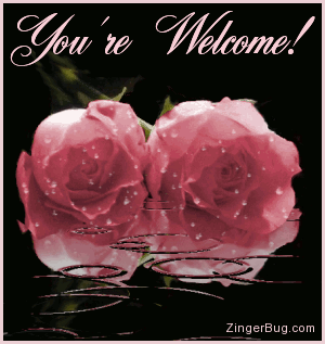 Click to get the codes for this image. You're Welcome Raindrop Roses, Youre Welcome, Flowers Free Image, Glitter Graphic, Greeting or Meme for Facebook, Twitter or any blog.