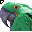 Click to get this Cursor. Green Parrot Cursor, Animals Custom Cursor for Internet or Windows