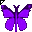 Click to get this Cursor. Purple Butterfly Cursor, Bugs  Butterflies Custom Cursor for Internet or Windows