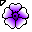 Click to get this Cursor. Purple and White Flower Cursor, Flowers Custom Cursor for Internet or Windows
