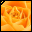 Click to get this Cursor. Orange Flower Photo Cursor, Flowers Custom Cursor for Internet or Windows