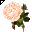 Click to get this Cursor. Peach Rose Cursor, Flowers Custom Cursor for Internet or Windows