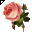 Click to get this Cursor. Pink Rose Cursor, Flowers Custom Cursor for Internet or Windows