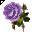 Click to get this Cursor. Purple Rose Cursor, Flowers Custom Cursor for Internet or Windows