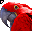 Click to get this Cursor. Red Parrot Cursor, Animals Custom Cursor for Internet or Windows