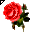 Click to get this Cursor. Red Rose Cursor, Flowers Custom Cursor for Internet or Windows