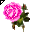 Click to get this Cursor. Pink Rose Cursor, Flowers Custom Cursor for Internet or Windows