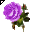 Click to get this Cursor. Violet Rose Cursor, Flowers Custom Cursor for Internet or Windows