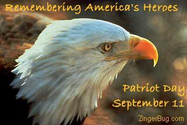 Click to get the codes for this image. Photograph of a bald eagle. The comment reads: Remembering America's Heroes. Patriot Day, September 11