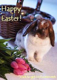 Click to get the codes for this image. Happy Easter Bunny photo, Easter Free Image, Glitter Graphic, Greeting or Meme for Facebook, Twitter or any forum or blog.