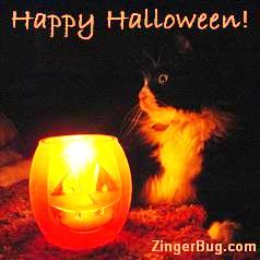 Click to get the codes for this image. Cute photograph of a black & white cat sitting next to a burning Halloween candle. The comment reads: Happy Halloween!