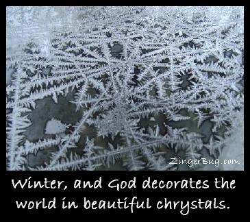 Click to get the codes for this image. This comment features a beautiful photograph of a close-up of ice chrystals on a pane of glass. The comment reads: Winter, and God decorates the world in beautiful chrystals.