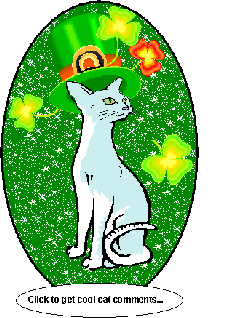 Click to get the codes for this image. Irish Cat Small, Saint Patricks Day Free Image, Glitter Graphic, Greeting or Meme for Facebook, Twitter or any forum or blog.