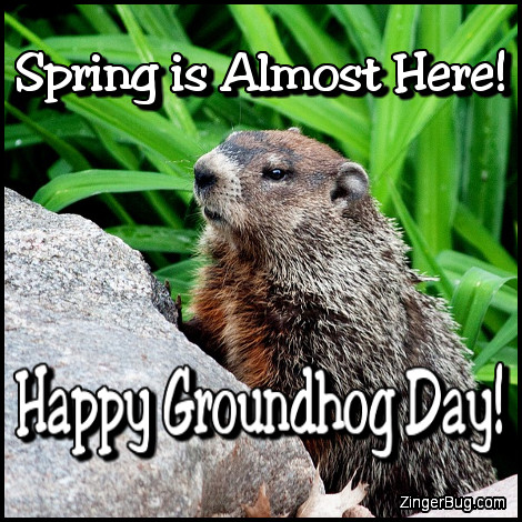 Click to get the codes for this image. Almost Spring Happy Groundhog Day, Groundhog Day Glitter Graphic, Comment, Meme, GIF or Greeting