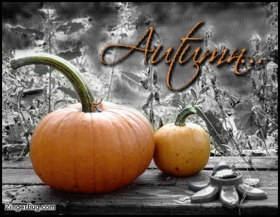 Click to get the codes for this image. Autumn Pumpkins, Autumn  Fall Free Image, Glitter Graphic, Greeting or Meme for Facebook, Twitter or any forum or blog.