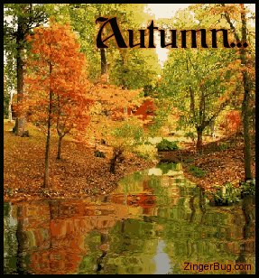 Click to get the codes for this image. This beautiful graphic features a photograph of trees with leaves in full gorgeous fall colors reflected in an animated pool. The comment reads: Autumn...