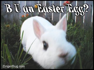 Click to get the codes for this image. This cute graphic features a photo of a bunny looking curiously at the camera. The comment reads: B U an Easter Egg?