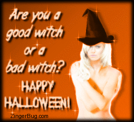 Click to get the codes for this image. This funny and suggestive glitter graphic features a sexy woman wearing nothing but a witch's hat. The comment reads: Are you a good witch or a bad witch? Happy Halloween!