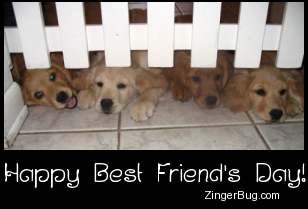 Click to get the codes for this image. Best Friends Day Golden Retriever Puppies, Best Friends Day Free Image, Glitter Graphic, Greeting or Meme for Facebook, Twitter or any forum or blog.