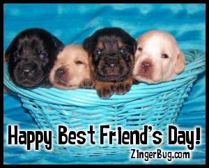 Click to get the codes for this image. Best Friends Day Puppies In Basket, Best Friends Day Free Image, Glitter Graphic, Greeting or Meme for Facebook, Twitter or any forum or blog.