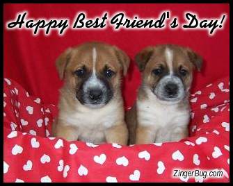 Click to get the codes for this image. Happy Best Friends Day Puppies, Best Friends Day Free Image, Glitter Graphic, Greeting or Meme for Facebook, Twitter or any forum or blog.