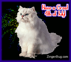 Click to get the codes for this image. This glitter graphic shows a white cat with animated fireworks in the background. The comment reads: Have a Great 4th of July!
