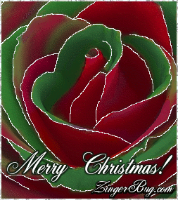 Click to get the codes for this image. Beautiful glitter graphic of a red and green rose with silver glitter on the tips of each petal. The comment reads: Merry Christmas!