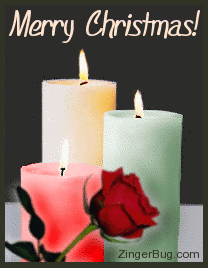 Click to get the codes for this image. This graphic shows 3 animated burning candles; red, white and green, with a single red rose in front. The comment reads: Merry Christmas!
