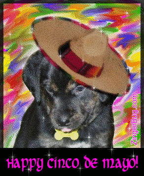 Click to get the codes for this image. Cute glittered painting of a black lab puppy wearing a sombrero. The comment reads: Happy Cinco de Mayo!