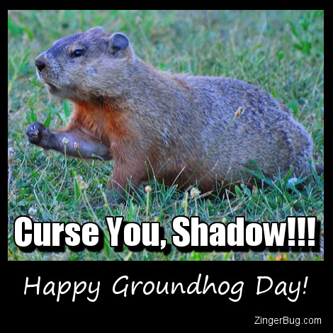 Click to get the codes for this image. Curse You Shadow Funny Groundhog Day Meme, Groundhog Day Glitter Graphic, Comment, Meme, GIF or Greeting