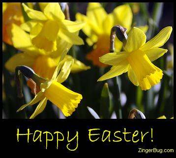 Click to get the codes for this image. Happy Easter Daffodils, Easter Free Image, Glitter Graphic, Greeting or Meme for Facebook, Twitter or any forum or blog.