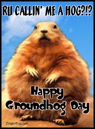 Click to get the codes for this image. This funny graphic features a painting of an abnormally fat groundhog with the comment: RU Callin' Me a Hog?!? Happy Groundhog Day!