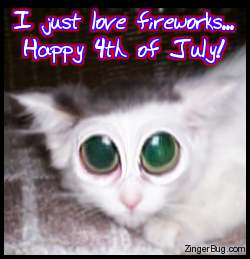 Click to get the codes for this image. This funny graphic shows a kitten with distorted huge eyes. The comment reads: I just love fireworks... Happy 4th of July!