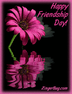 Click to get the codes for this image. Beautiful graphic of a pink flower reflected in an animated pool. The comment reads: Happy Friendship Day!