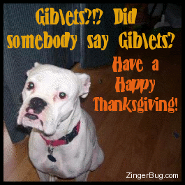 Click to get the codes for this image. This funny graphic shows a dog looking expectantly at the camera. The comment reads: Giblets?!? Did somebody say Giblets? Have a Happy Thanksgiving!
