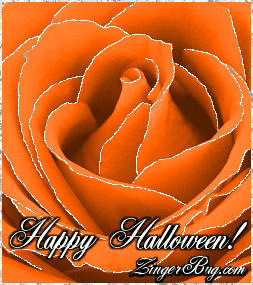 Click to get the codes for this image. Glitter graphic of an orange rose with silver glitter on the tips of each petal. The comment reads: Happy Halloween!