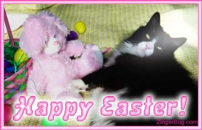 Click to get the codes for this image. Happy Easter Kitty With Stuffed Bunny, Easter Free Image, Glitter Graphic, Greeting or Meme for Facebook, Twitter or any forum or blog.