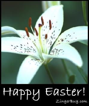 Click to get the codes for this image. Happy Easter White Lily Photo, Easter Free Image, Glitter Graphic, Greeting or Meme for Facebook, Twitter or any forum or blog.