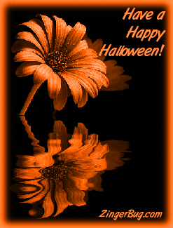 Click to get the codes for this image. Beautiful graphic of an orange flower reflected in an animated pool. The comment reads: Happy Halloween!