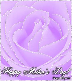 Click to get the codes for this image. This beautiful comment shows a close-up photo of a lavender rose with silver glitter on the tips of each petal. The comment reads: Happy Mother's Day!