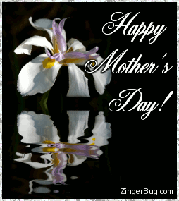 Click to get the codes for this image. This glitter graphic shows a white orchid reflected in an animated pool. The comment reads: Happy Mother's Day!
