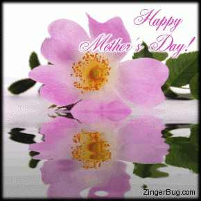 Click to get the codes for this image. This graphic shows a beautiful pink flower reflected in an animated pool. The comment reads: Happy Mother's Day!